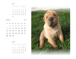 calendrier trimestriel 2011 de chien Shar-pei