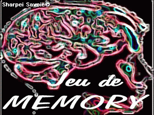 Aller à la page de jeu des memory
