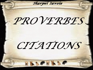 Aller à la page des proverbes et citations
