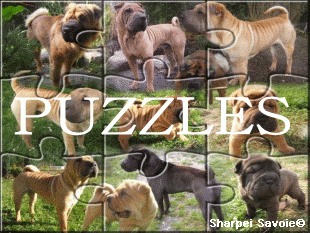 Aller à la page de jeu des puzzles