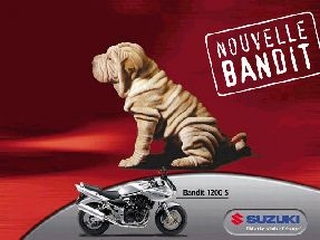 Publicite moto avec chien Shar-pei